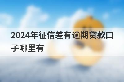 2024年征信差有逾期贷款口子哪里有？这几个小额度贷款都不错