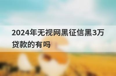 2024年无视网黑征信黑3万贷款的有吗？可以试试这5个，门槛极低