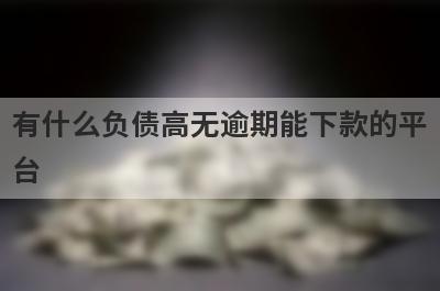 有什么负债高无逾期能下款的平台？精选5个好下款的贷款