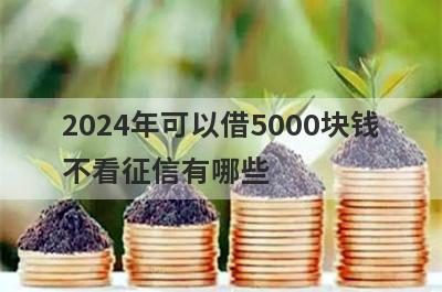 2024年可以借5000块钱不看征信有哪些？推荐5个黑户烂户最容易下的贷款