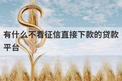 有什么不看征信直接下款的贷款平台？精选五个好下款的贷款
