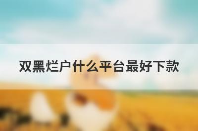 双黑烂户什么平台最好下款？双黑烂户不用审核就下款