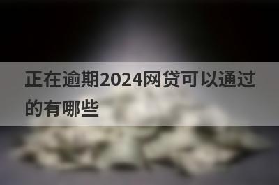 正在逾期2024网贷可以通过的有哪些？试试黑户逾期不用审核就下款口子