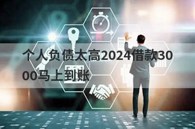 个人负债太高2024借款3000马上到账，整理5个个人负债太高马上到账平台