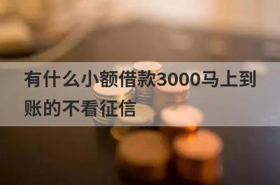 有什么小额借款3000马上到账的不看征信？这些都比较不错，轻松借款！