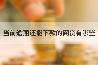 当前逾期还能下款的网贷有哪些？推荐5个100%能借到平台