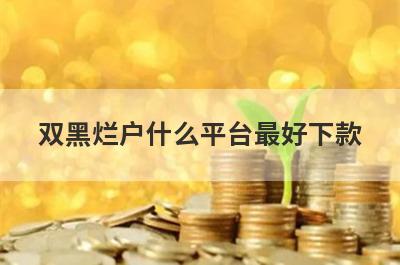 双黑烂户什么平台最好下款？黑成碳了2024年不用审核就下款