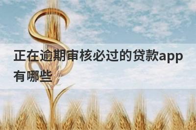 正在逾期审核必过的贷款app有哪些？这5个双黑有逾期审核必过