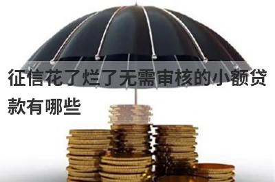 征信花了烂了无需审核的小额贷款有哪些？小额不用审核的贷款app