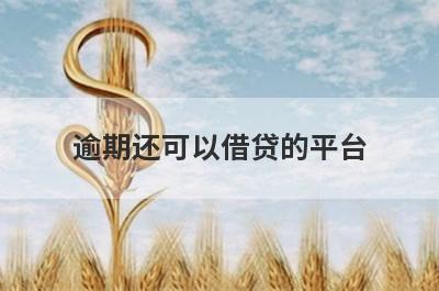 逾期还可以借贷的平台，这些好下款，可以能满足不同的用户需求