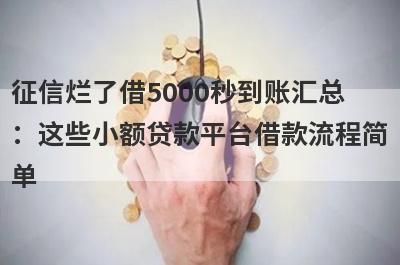 征信烂了借5000秒到账汇总：这些小额贷款平台借款流程简单，放款快速！