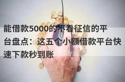 能借款5000的不看征信的平台盘点：这五个小额借款平台快速下款秒到账！