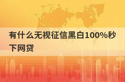 有什么无视征信黑白100%秒下网贷？精选5个好下款的贷款