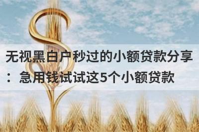 无视黑白户秒过的小额贷款分享：急用钱试试这5个小额贷款！