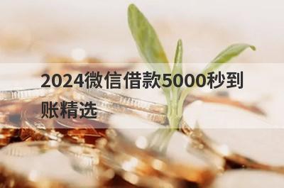 2024微信借款5000秒到账精选 这5个口子4月秒到账