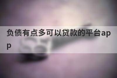 负债有点多可以贷款的平台app，负债有点多秒到账