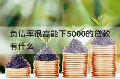 负债率很高能下5000的贷款
有什么
