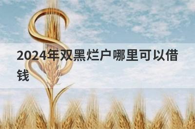 2024年双黑烂户哪里可以借钱？精选5个双黑烂户也能借到钱的贷款平台