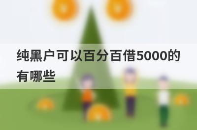 纯黑户可以百分百借5000的有哪些？这5个马上到账