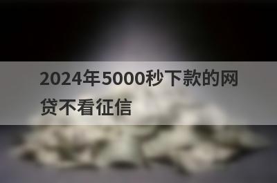 2024年5000秒下款的网贷不看征信（征信特别差可以借的网贷）