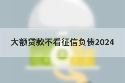 大额贷款不看征信负债2024 盘点5个严重逾期也能贷款的网贷