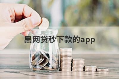 黑网贷秒下款的app，挑选5个黑网贷秒下款的app，门槛低好下款