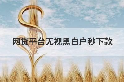 网贷平台无视黑白户秒下款（2024适合黑白户的网贷）