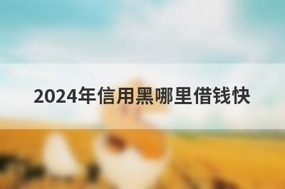 2024年信用黑哪里借钱快？独家盘点信用黑也能秒到账的贷款平台