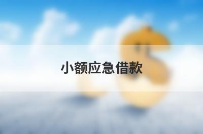 小额应急借款