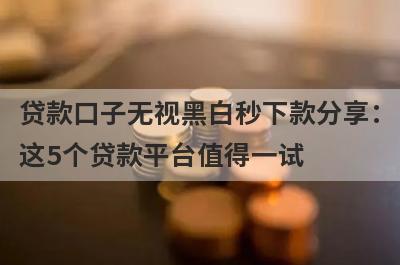 贷款口子无视黑白秒下款分享：这5个贷款平台值得一试！