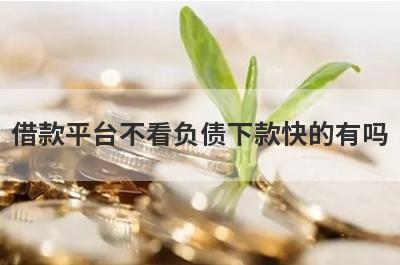 借款平台不看负债下款快的有吗？这几个网贷最近下款案例多