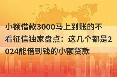 小额借款3000马上到账的不看征信独家盘点：这几个都是2024能借到钱的小额贷款