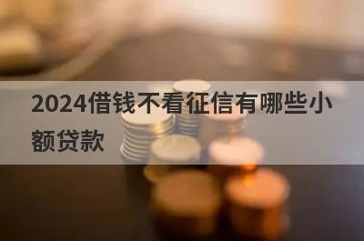 2024借钱不看征信有哪些小额贷款？这几个简单快速借钱不看征信秒批