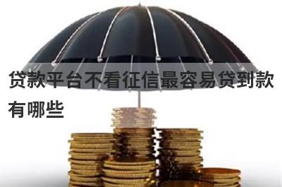 贷款平台不看征信最容易贷到款
有哪些
