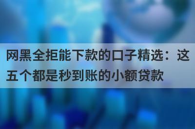 网黑全拒能下款的口子精选：这五个都是秒到账的小额贷款