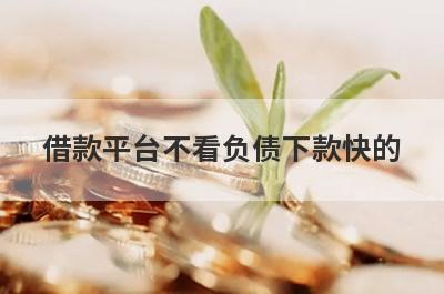 借款平台不看负债下款快的 2024好过的网贷口子