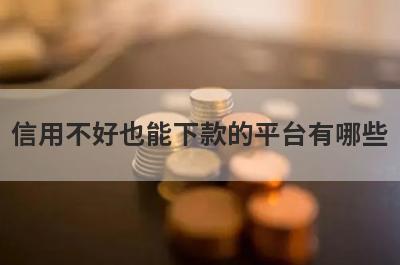 信用不好也能下款的平台有哪些？盘点5个信用不好可以借款的口子