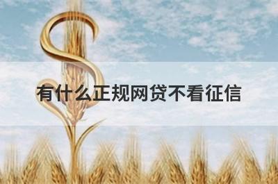 有什么正规网贷不看征信？精选5个好下款的贷款