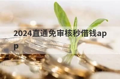 2024直通免审核秒借钱app 独家盘点无需审核直接放款