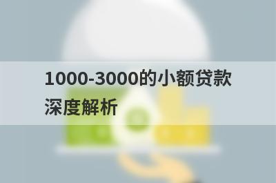 1000-3000的小额贷款深度解析，这5个小额贷款平台，不仅简单还好通过！
