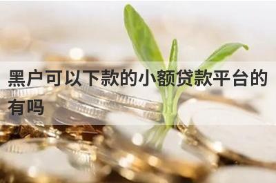 黑户可以下款的小额贷款平台的有吗？可以试试这5个，好下款