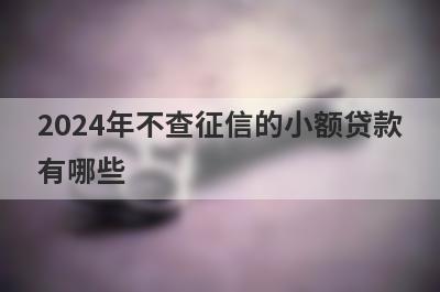 2024年不查征信的小额贷款有哪些？推荐5个黑户口子秒下的
