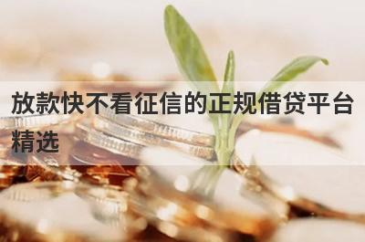 放款快不看征信的正规借贷平台精选 这些口子app放水好下款