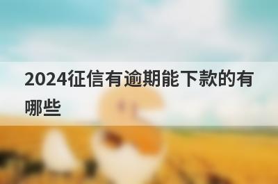 2024征信有逾期能下款的有
哪些

