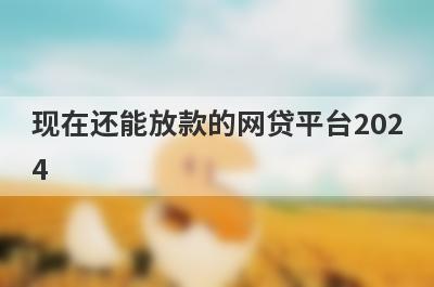 现在还能放款的网贷平台2024，汇总几个小额网贷平台，总有一个适合你