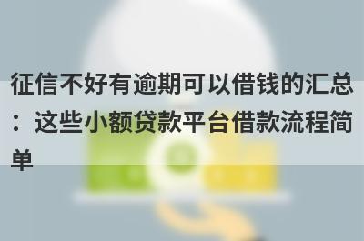 征信不好有逾期可以借钱的汇总：这些小额贷款平台借款流程简单，放款快速！