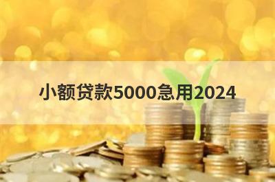 小额贷款5000急用2024，汇总五个小额贷款平台