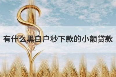 有什么黑白户秒下款的小额贷款？这几个都可以了解