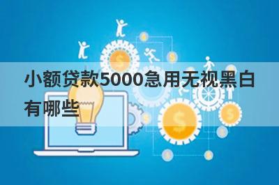 小额贷款5000急用无视黑白有哪些？分享五个好用的小额网贷平台