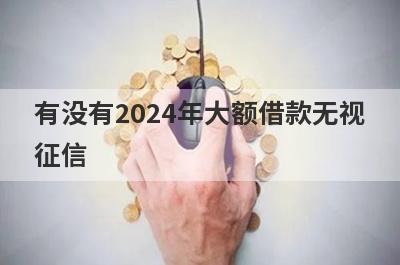 有没有2024年大额借款无视征信？精心整理5个不看征信的小额正规借钱，极速放款